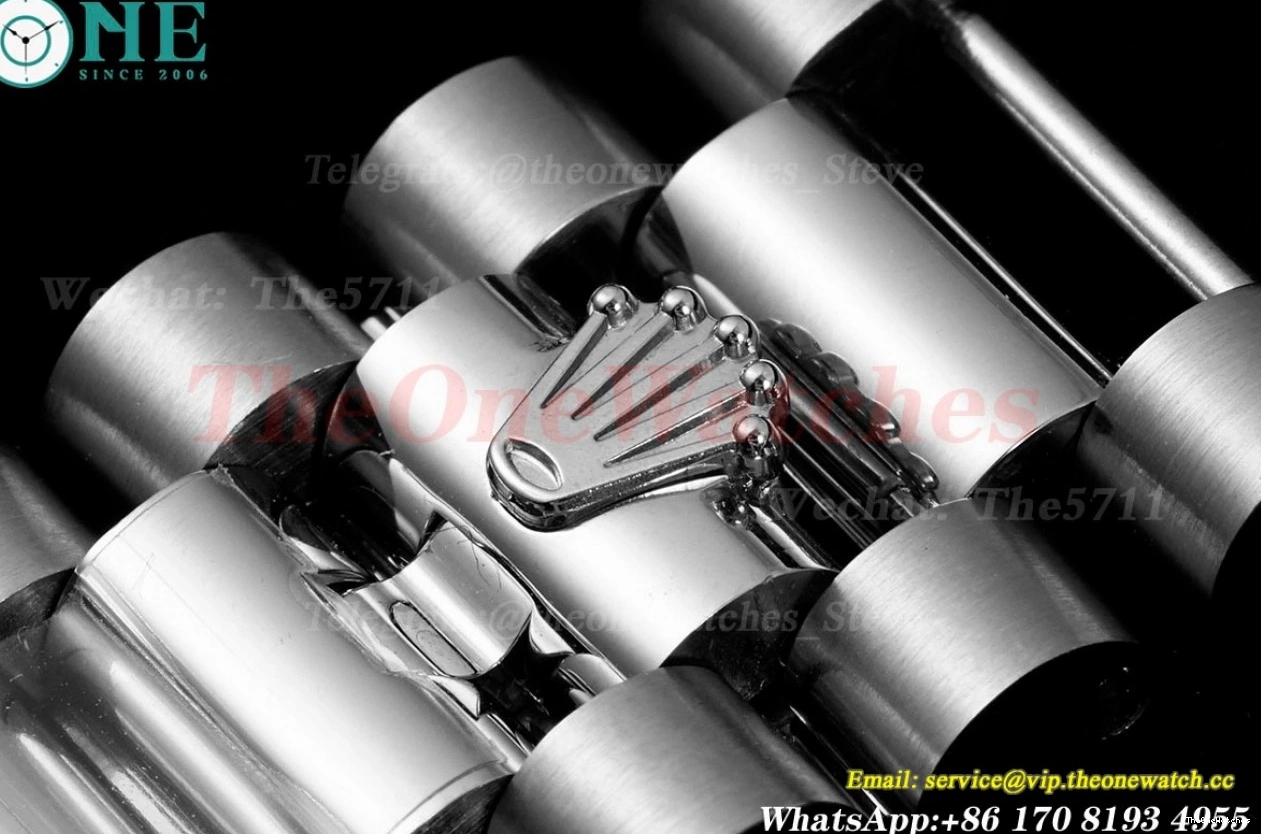 VR3255(Gain Weight) SS KF SS 228236 Silver 40mm Dia DayDate 0524